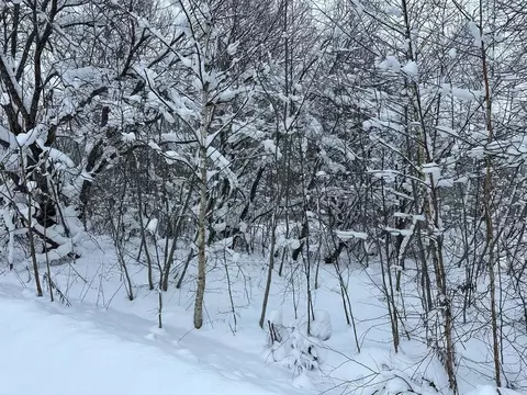 Участок в Московская область, Рузский муниципальный округ, д. Булыгино ...