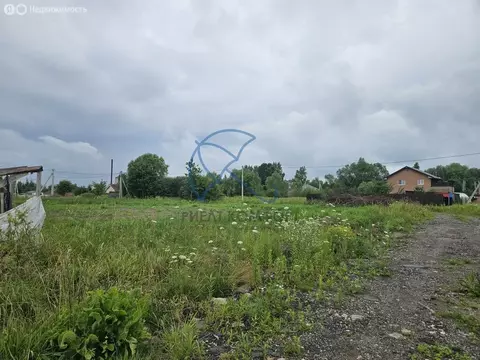 Участок в Калининградская область, Гурьевский муниципальный округ, ...