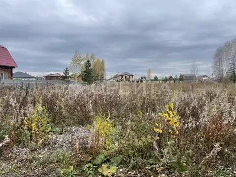 Участок в Тюменская область, Тюменский муниципальный округ, д. Ушакова ...