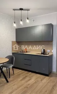 Студия Ленинградская область, Мурино Всеволожский район, просп. ...