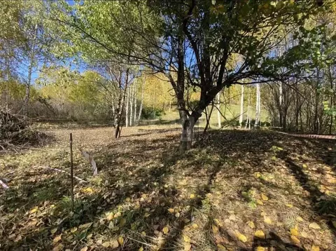 Участок в Алтай, Горно-Алтайск  (5.9 сот.)