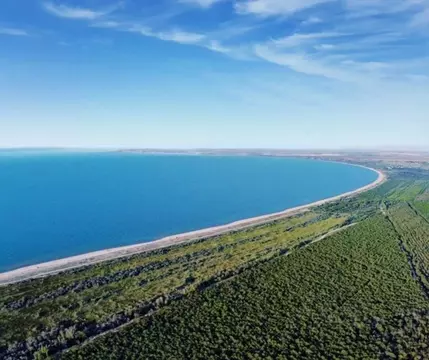 Дом в Крым, Ленинский район, Останинское с/пос, Зеленый Яр садовые ...