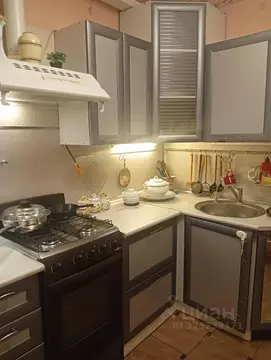 1-к кв. Санкт-Петербург, Санкт-Петербург, Сестрорецк Транспортная ул., ...