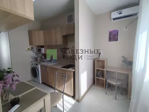 Студия Белгородская область, Белгород ул. Каштановая, 20 (27.0 м)