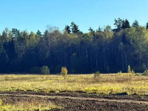 Участок в Московская область, Дмитровский муниципальный округ, Ерыково ...