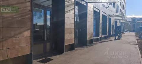 Помещение свободного назначения в Санкт-Петербург ул. Ультрамариновая, ...