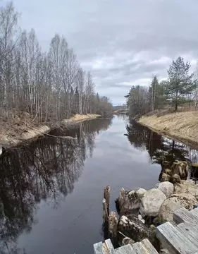 Участок в Ленинградская область, Выборгский район, Селезневское с/пос, ...