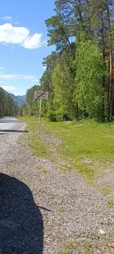 Участок в Алтай, Чемальский район, с. Чепош ул. Кучияк (34.0 сот.)