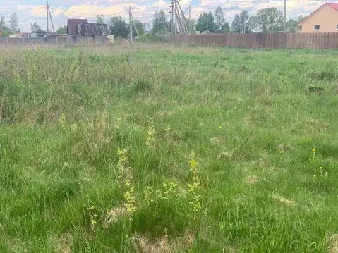 Участок в Новгородская область, Новгородский район, Савинское с/пос, ...