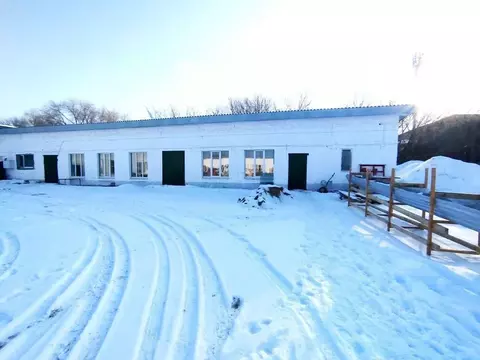 Производственное помещение в Самарская область, Кинель Первомайская ...