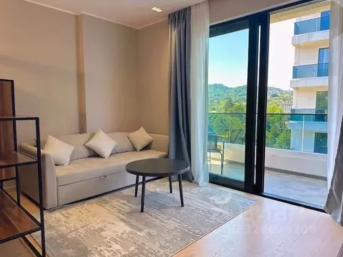 1-к кв. Краснодарский край, Сочи Центральный мкр, ул. Орджоникидзе, ...