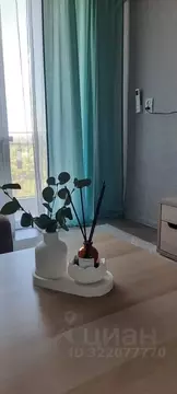 1-к кв. Приморский край, Спасск-Дальний Парковая ул., 21 (30.0 м)