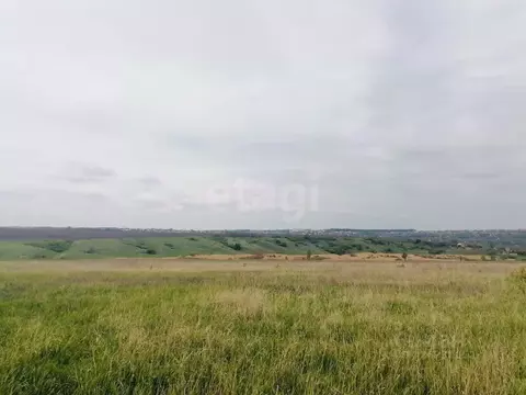 Участок в Белгородская область, Белгородский район, Головинское с/пос, ...