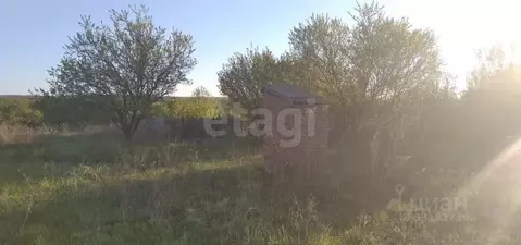 Участок в Ростовская область, Родионово-Несветайский район, ...