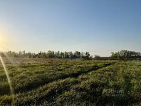 Участок в Курская область, Курск ул. Комдива Высоцкого (10.0 сот.)