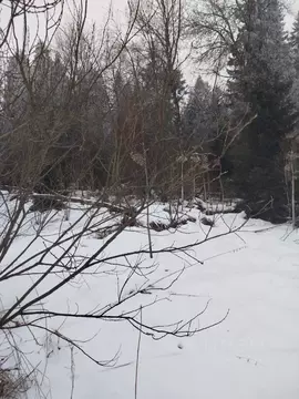 Участок в Московская область, Клин городской округ, д. Елино  (15.0 ...