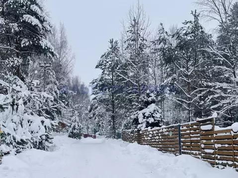 Участок в Ярославская область, Переславль-Залесский муниципальный ...