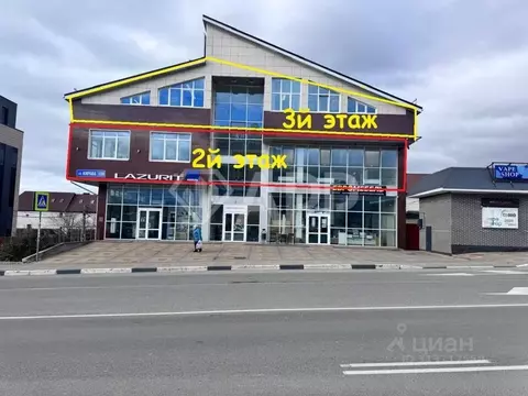 Помещение свободного назначения в Краснодарский край, Геленджик ул. ...