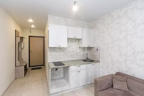 Студия Тюменская область, Тюмень ул. Новоселов, 115 (15.7 м)