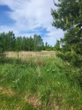 Участок в Владимирская область, Суздальский район, Павловское ...