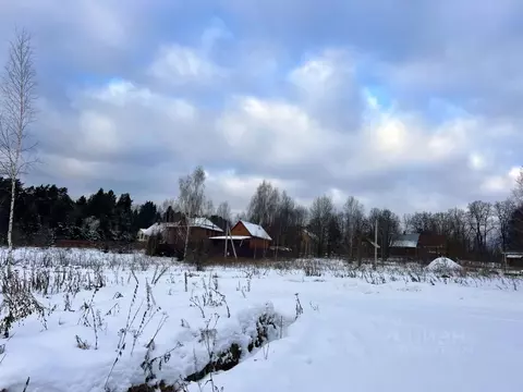 Участок в Московская область, Дмитровский муниципальный округ, Форест ...