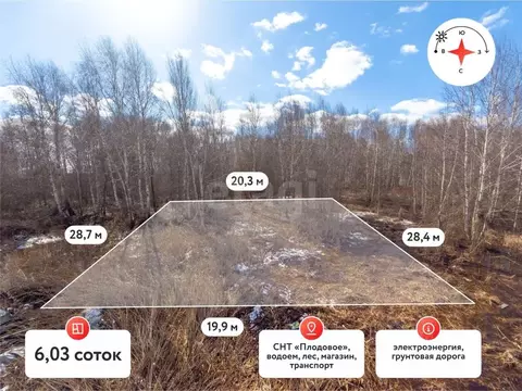 Участок в Тюменская область, Тюмень Плодовое СНТ, ул. Пихтовая (6.03 ...