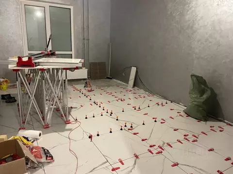 Студия Ленинградская область, Колтуши Всеволожский район, ул. Мира, 9 ...