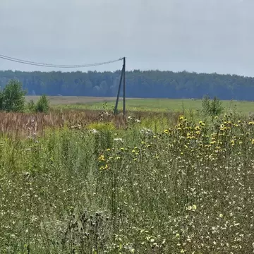 Участок в Московская область, Луховицы  (13.72 сот.)