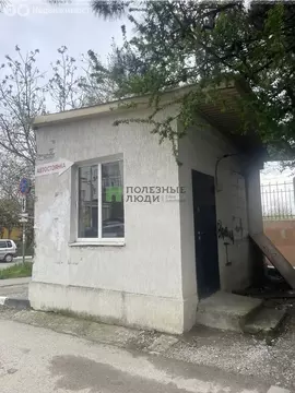 Помещение свободного назначения (14.4 м)
