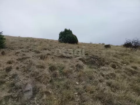 Участок в Крым, Судак  (1.0 сот.)