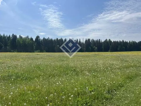 Участок в Пермский край, д. Дикая Гарь  (1167.0 сот.)