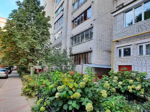 4-к кв. Воронежская область, Воронеж ул. Ломоносова, 114/5 (80.0 м)