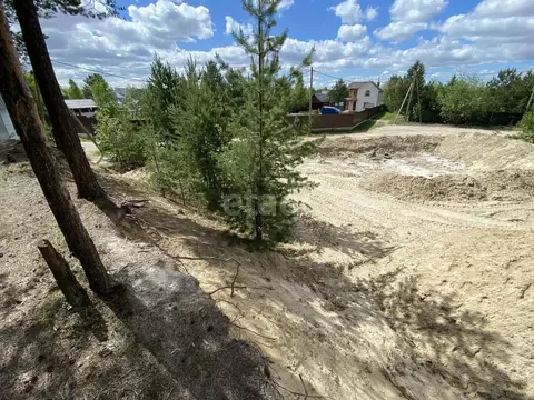 Участок в Ханты-Мансийский АО, Сургут Виктория садовое товарищество, ...
