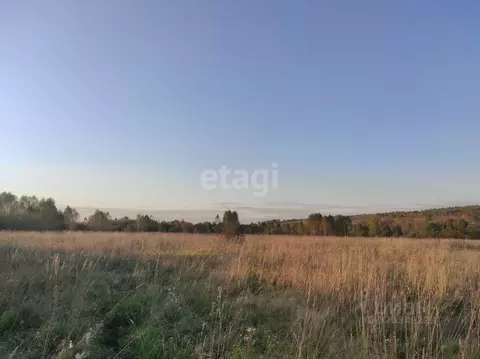 Участок в Кемеровская область, Новокузнецкий муниципальный округ, ...