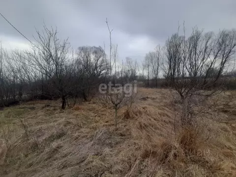 Участок в Белгородская область, Валуйский муниципальный округ, с. ...