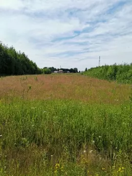 Участок в Тверская область, Калининский муниципальный округ, д. ...