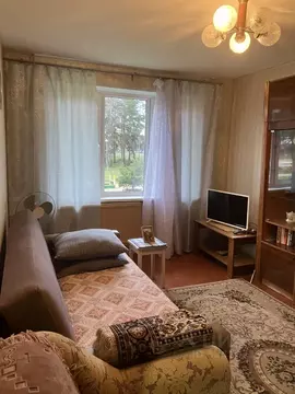 1-к кв. Псковская область, Псков Госпитальная ул., 15 (33.0 м)