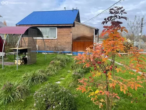 Дом в Череповец, СНТ № 1 Металлург (20 м)