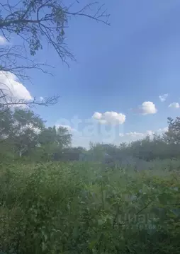 Участок в Ставропольский край, Ставрополь Кравцово садовое ...