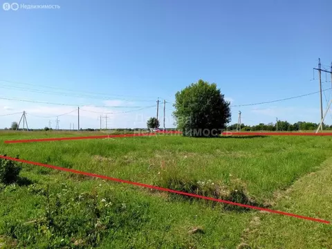 Участок в Новгородская область, Шимское городское поселение, деревня ...