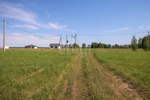 Участок в Алтайский край, Первомайский район, с. Фирсово, Полесье мкр  ...