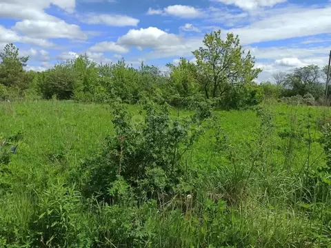 Участок в Воронежская область, Рамонский район, Айдаровское с/пос, ...