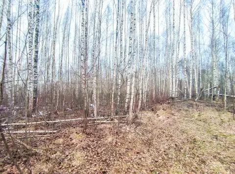 Участок в Вологодская область, Череповецкий район, Дубок СТ  (20.0 ...