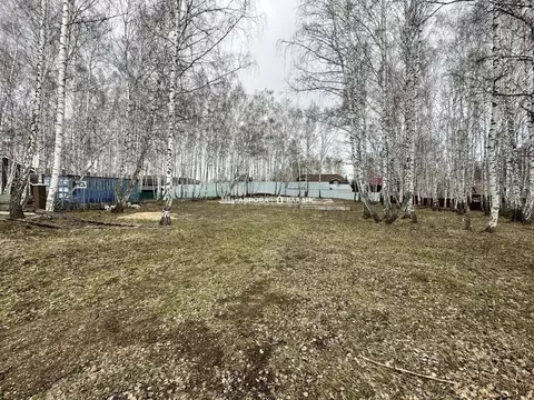 Участок в Башкортостан, Абзелиловский район, Ташбулатовский сельсовет, ...