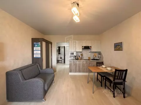 Студия Ленинградская область, Всеволожский район, Заневское городское ...