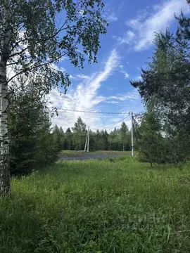 Участок в Калужская область, Боровский муниципальный округ, Новая ...