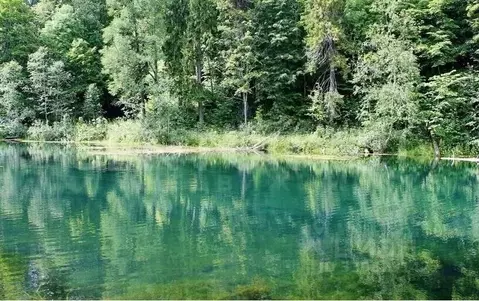 Участок в Ленинградская область, Ломоносовский район, Ропшинское ...