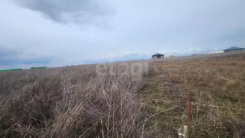 Участок в Белгородская область, Белгородский район, с. Стрелецкое пер. ...