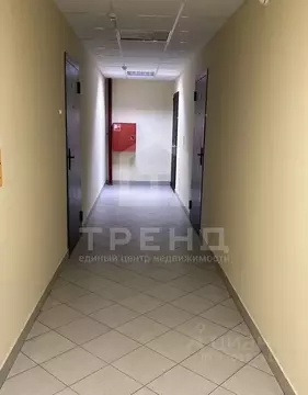 Студия Санкт-Петербург просп. Просвещения, 43 (25.2 м)