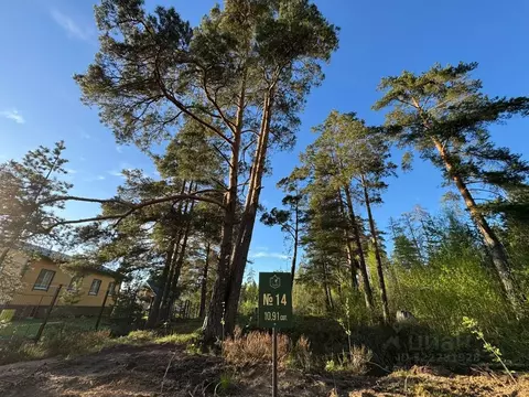 Участок в Ленинградская область, Выборгский район, Полянское с/пос, ...